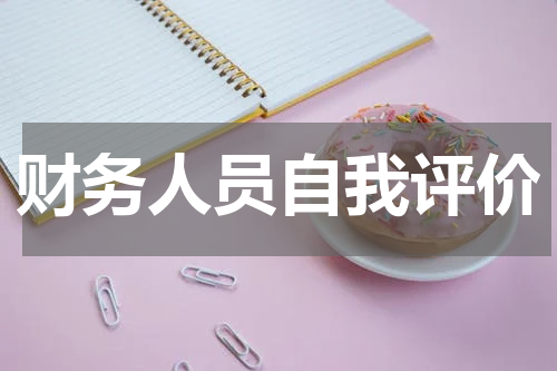 财务人员自我评价