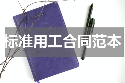 标准用工合同范本