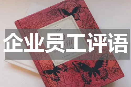 企业员工评语