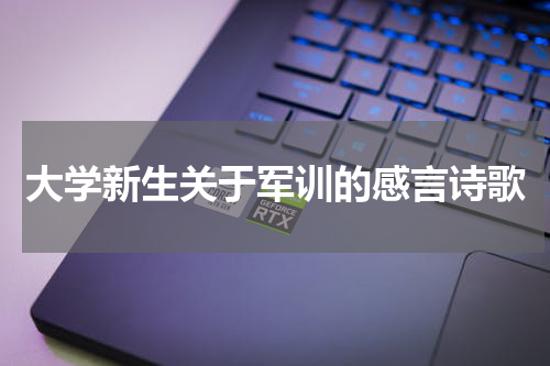 大学新生关于军训的感言诗歌