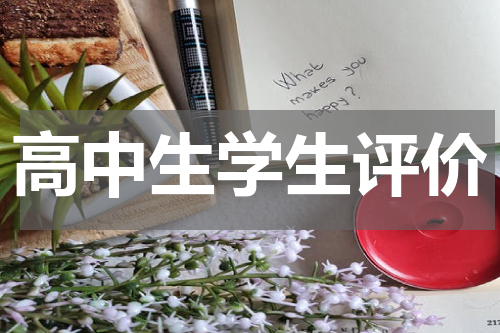 高中生学生评价