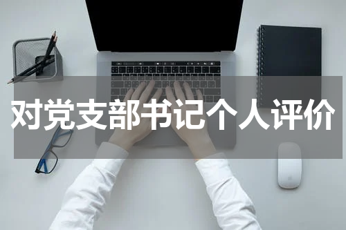 对党支部书记个人评价