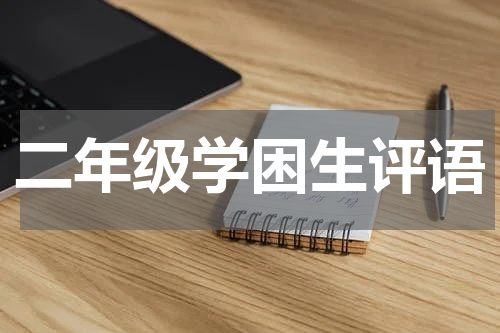 二年级学困生评语