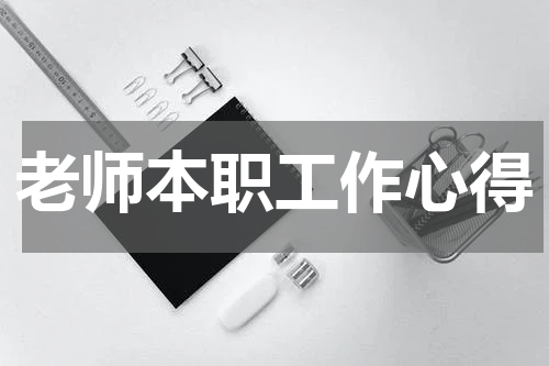 老师本职工作心得