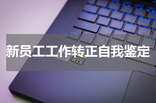 新员工工作转正自我鉴定