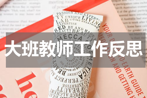 大班教师工作反思