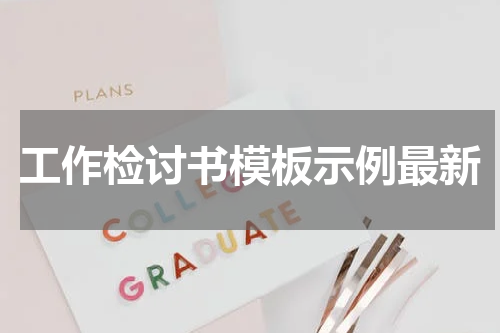 工作检讨书模板示例最新