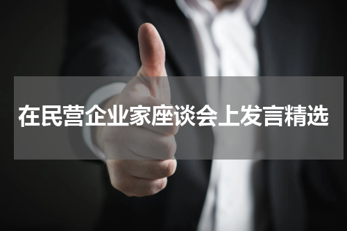 在民营企业家座谈会上发言精选