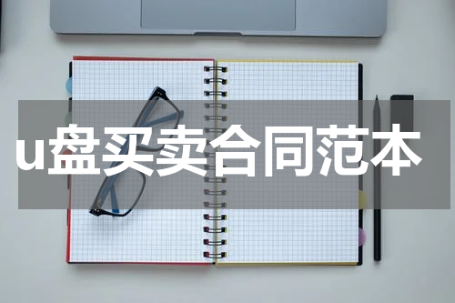 u盘买卖合同范本