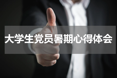 大学生党员暑期心得体会