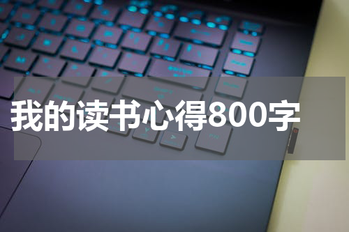 我的读书心得800字