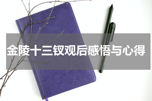 金陵十三钗观后感悟与心得