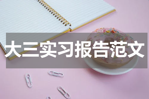 大三实习报告范文