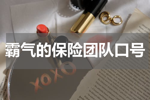 霸气的保险团队口号