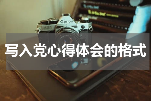 写入党心得体会的格式