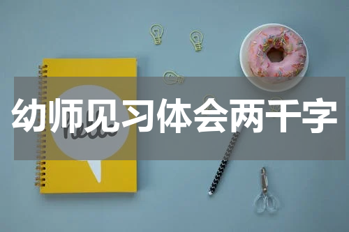 幼师见习体会两千字