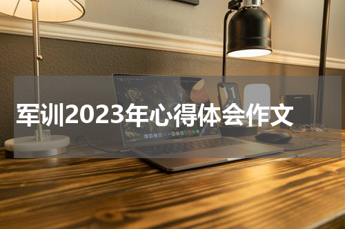 军训2023年心得体会作文