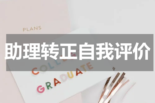 助理转正自我评价