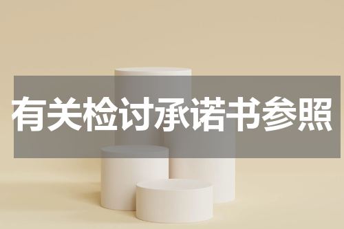 有关检讨承诺书参照