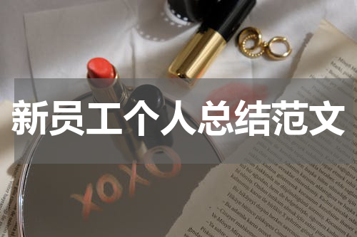 新员工个人总结范文