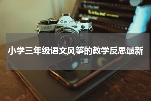 小学三年级语文风筝的教学反思最新