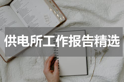 供电所工作报告精选