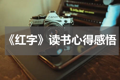 《红字》读书心得感悟