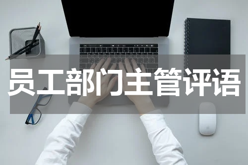 员工部门主管评语