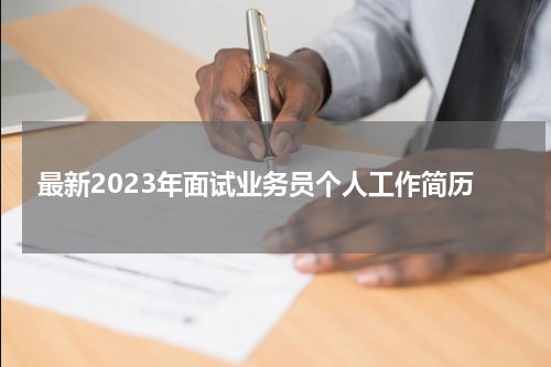 最新2023年面试业务员个人工作简历