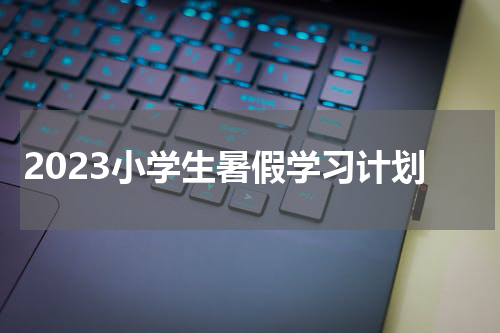 2023小学生暑假学习计划