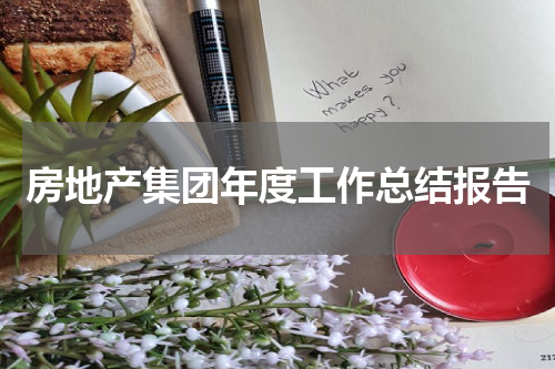 房地产集团年度工作总结报告