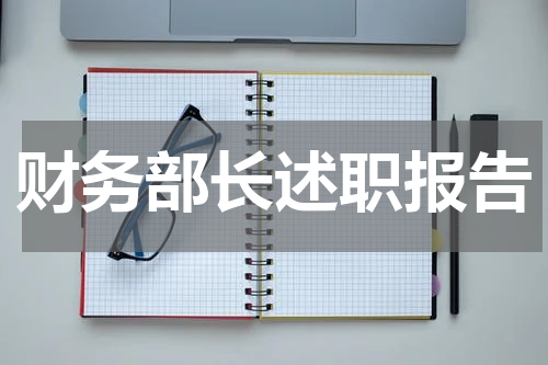 财务部长述职报告