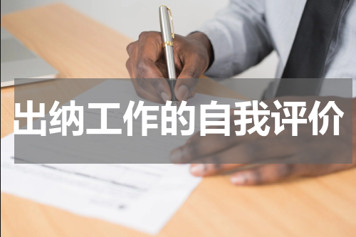 出纳工作的自我评价