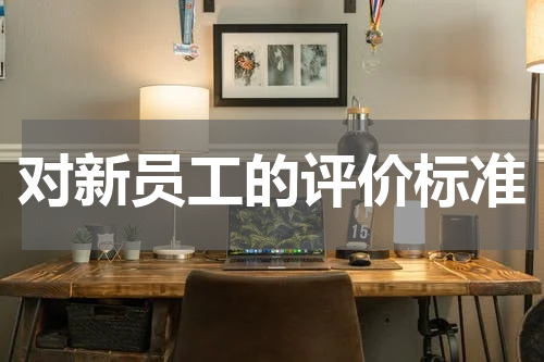 对新员工的评价标准