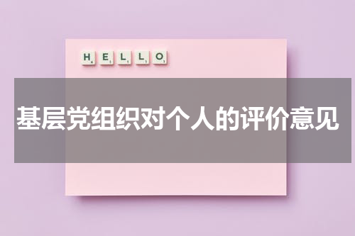 基层党组织对个人的评价意见