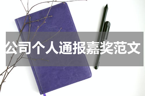 公司个人通报嘉奖范文