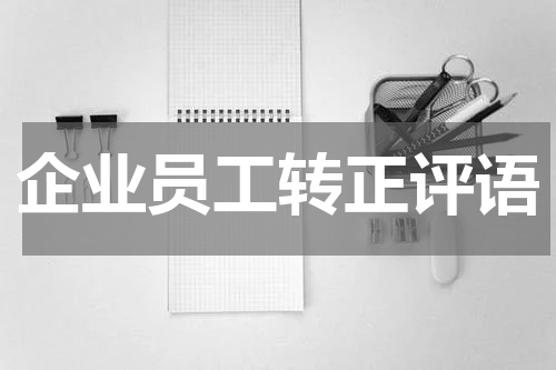 企业员工转正评语
