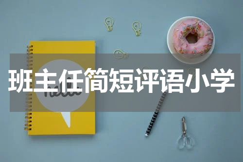 班主任简短评语小学
