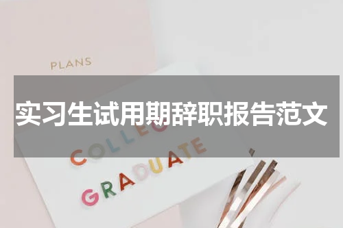 实习生试用期辞职报告范文