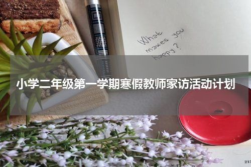 小学二年级第一学期寒假教师家访活动计划