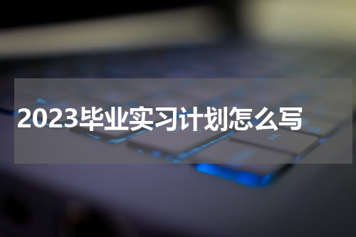 2023毕业实习计划怎么写