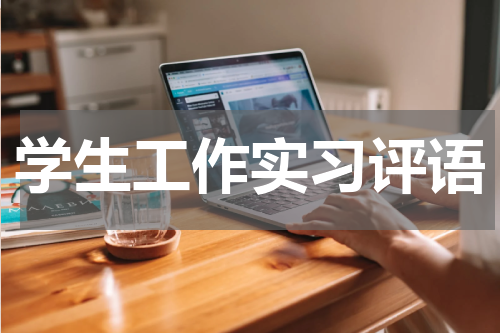 学生工作实习评语