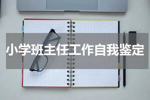 小学班主任工作自我鉴定