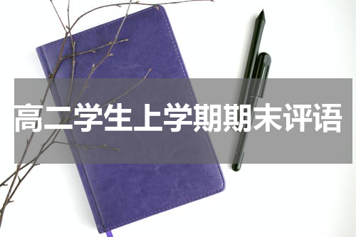高二学生上学期期末评语