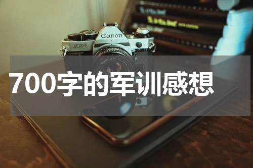 700字的军训感想