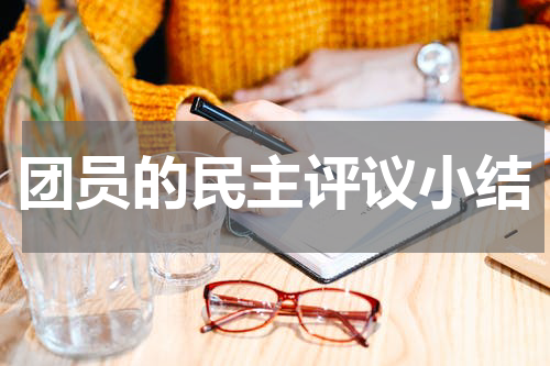 团员的民主评议小结