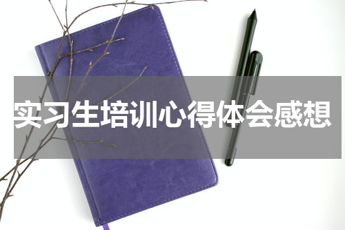 实习生培训心得体会感想