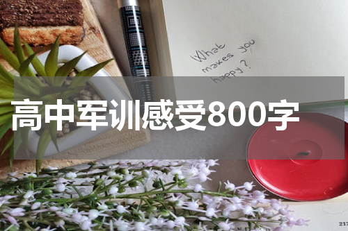 高中军训感受800字