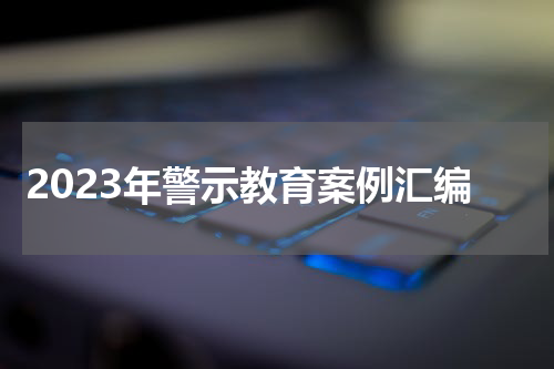 2023年警示教育案例汇编