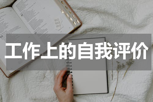 工作上的自我评价